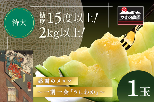 【1268】やまの農園　感謝のメロン～一期一会「うしわか」～1玉≪先行予約≫【2026年7月中旬より順次発送予定】