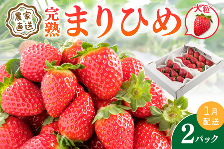 [1226_01]農家直送!大粒完熟まりひめ いちご 2パック(1月発送) 配送不可地域[北海道・沖縄・離島]