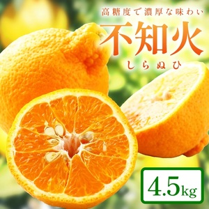【0051-3】和歌山産 しらぬひ【デコポン】約4.5kg 濃厚春みかん≪2026年2月下旬頃より順次発送分≫