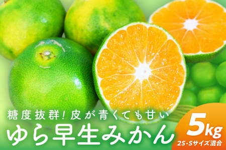 y0162-3zxQI瑁i݂js\