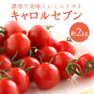 ミニトマト キャロルセブン 2kg【和歌山産】