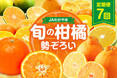 [8070]JAわかやま紀州 柑橘勢ぞろい セット 7回 定期便