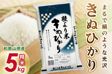 【1295】御坊・日高地方産　粒より米　きぬひかり　5kg