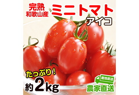 完熟 ミニトマト アイコ 約2kg トマト農家直送 和歌山県産 和歌山県御坊市 ふるさと納税サイト ふるなび