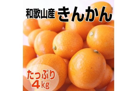 完熟きんかん/金柑 4kg 秀品 Lサイズ以上《先行予約》