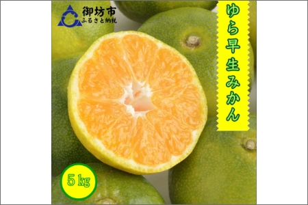 y0552-3zVsE쒬ERǒY 瑁݂iqj5kgss\t