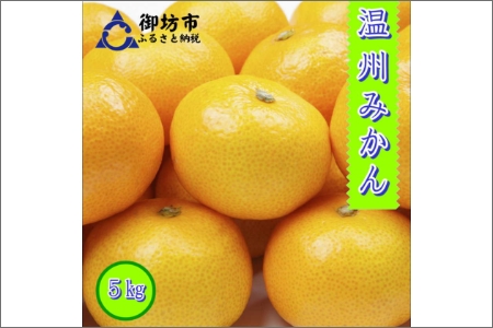 y0553-3zVsE쒬ERǒY B݂iqj5kgss\t