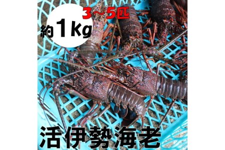 伊勢海老 味噌汁の返礼品 検索結果 | ふるさと納税サイト「ふるなび」