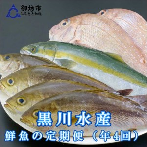 御坊産鮮魚セット 2.5kg [定期便](年4回お届け)