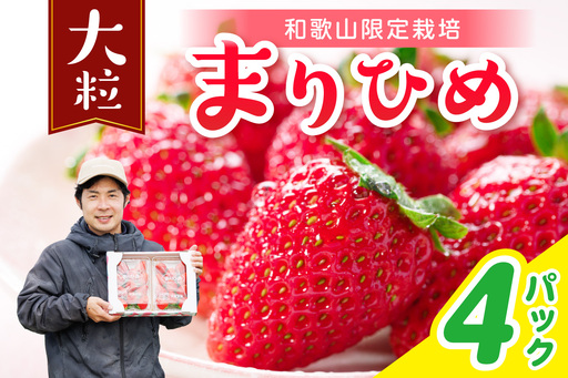 【1300】まりひめ4パック《先行予約》2027年1月～4月末まで順次発送予定【配送不可地域：北海道・青森・秋田・岩手・沖縄・離島】
