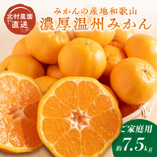 [1169-2]和歌山の農園直送北村農園の天田みかん7.5kg(家庭用)
