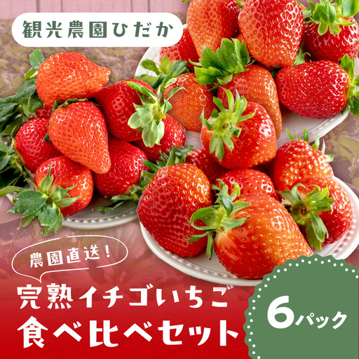 【1225】農園直送！完熟イチゴ食べ比べセット2種 6パック《先行予約》2027年1月中旬頃から順次発送予定【配送不可地域：北海道・沖縄・離島】