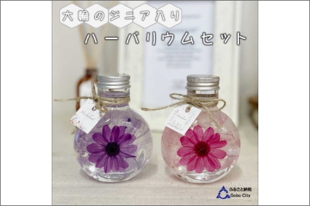 【0369-3】コロンと可愛いボトルに大輪のジニア入りハーバリウムセット