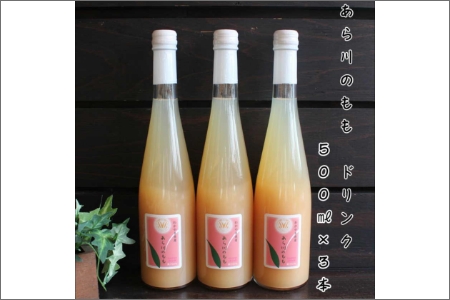 【7004-5】あら川の桃　60％果実入りドリンク500ｍｌ×3本