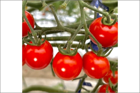 y0910-3z~jg}giLZuj2kgs\2025N11菇\