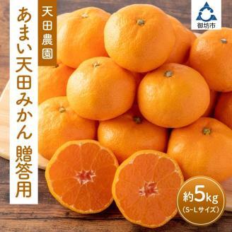 【0982-3】和歌山県　御坊市　あまい天田みかん　贈答用　５kg《先行予約》