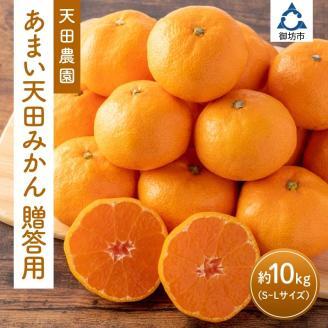 【0983-2】和歌山県　御坊市　あまい天田みかん　贈答用　10kg《先行予約》