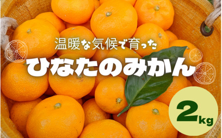 [先行予約]ひなたのみかん 2kg ※2024年12月頃に順次発送予定[期間限定・先行予約・2024/11/30まで] / 田辺市 みかん 期間限定 先行予約 ミカン 和歌山 紀州 [okm001]