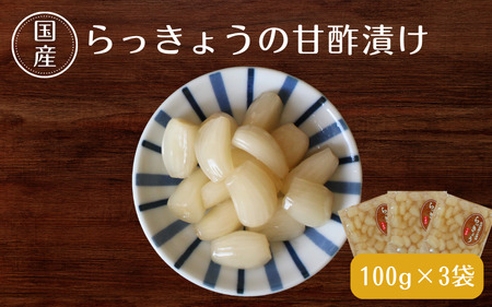 らっきょうの甘酢漬け100g×3 / 無添加 漬物 ごはんのおとも 惣菜 和歌山 田辺市 [ksn004]