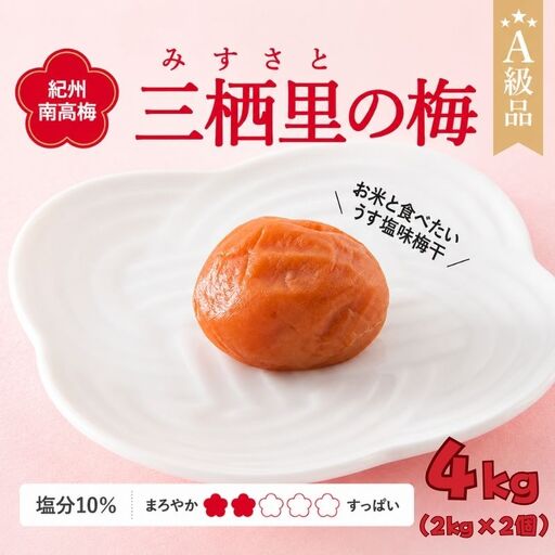 紀州南高梅　三栖里の梅（塩分10%）　4kg(2kg×2個）  / 田辺市 紀州南高梅 南高梅 梅干し 梅干 梅  肉厚 お米 おにぎり 焼酎 梅酒 健康 【ske041-2】