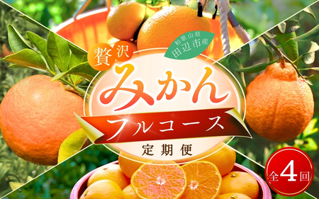 みかん 定期便[先行予約][4回定期便]贅沢みかんフルコース※2024年12月より発送(期間限定・12/20まで) 宮川早生・ポンカン・紅八朔・不知火 / 4種の 和歌山県の ミカン フルーツ 果物 柑橘 田辺市 くだもの [nak030-tk]