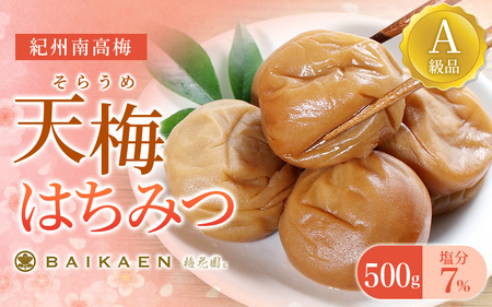 紀州南高梅 天梅(そらうめ)はちみつ 500g 塩分約7% A級品 大粒5Lサイズ / 梅干し 梅干 うめぼし 南高梅 はちみつ梅 はちみつ梅干し 国産 梅 うめ ウメ 健康 ご飯のお供 和歌山県 田辺市 [bik002]