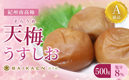 紀州南高梅 天梅(そらうめ)うすしお 500g 塩分約8% A級品 大粒5Lサイズ / 梅干し 梅干 うめぼし 南高梅 国産 梅 うめ ウメ 健康 ご飯のお供 和歌山県 田辺市 [bik004]