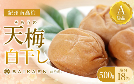 紀州南高梅 天梅(そらうめ)白干し 500g 塩分約18% A級品 大粒5Lサイズ / 梅干し 梅干 うめぼし 南高梅 国産 梅 うめ ウメ 白梅 白干し梅 健康 ご飯のお供 和歌山県 田辺市 [bik006]