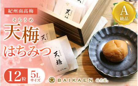 紀州南高梅 天梅(そらうめ)はちみつ 12粒 個包装 塩分約7% A級品 大粒5Lサイズ 木箱入り / 梅干し 梅干 うめぼし 南高梅 国産 梅 うめ ウメ はちみつ梅 健康 ご飯のお供 贈答 贈り物 和歌山県 田辺市 [bik007]