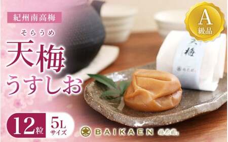 紀州南高梅 天梅(そらうめ)うすしお 12粒 個包装 塩分約8% A級品 大粒5Lサイズ 木箱入り / 梅干し 梅干 うめぼし 南高梅 国産 梅 うめ ウメ 健康 ご飯のお供 贈答 贈り物 和歌山県 田辺市 [bik008]