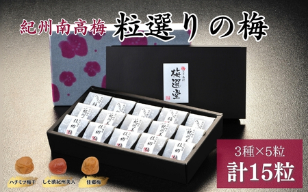 紀州産南高梅 粒選りの梅 計15個 佳郷梅(塩分約10%)・ハチミツ梅干(塩分8%)・しそ漬紀州美人(約12%) / 和歌山 田辺 南高梅 梅干し 梅干 うす塩 減塩 肉厚 りんご酢 はちみつ入り お米 おにぎり ご飯のお供[kmr013]