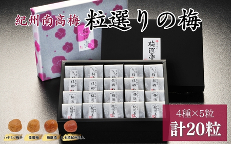 紀州産南高梅 粒選りの梅 計20個 佳郷梅(塩分約10%)・ハチミツ梅干(塩分8%)・しそ漬紀州美人(約12%)・選漬(8%) / 和歌山 田辺 南高梅 梅干し 梅干 うす塩 減塩 肉厚 りんご酢 はちみつ入り お米 おにぎり ご飯のお供[kmr014]