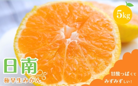 [先行予約] [秀品] 極早生みかん 日南 5kg(サイズ混合) ※2025年10月より順次発送 / みかん ミカン 蜜柑 和歌山 早生 極早生 日南 温州 田辺市 紀州 くだもの 柑橘 フルーツ [aoi003-1]