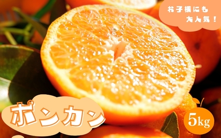 |J 4kg yGiz TCY 2026N1菇 / ݂ ~J  |J a̎R cӎs IB  k t[c yaoi004-2z