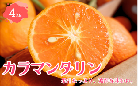 カラマンダリン 4kg [2026年4月下旬〜5月下旬頃より順次発送] / みかん ミカン 蜜柑 カラマンダリン 和歌山 田辺市 紀州 くだもの 柑橘 フルーツ [aoi008-1]