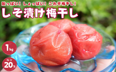 紀州南高梅 しそ漬け梅 1kg 20% 添加物不使用 / 梅 うめ ウメ 梅干し 梅干 しそ シソ しそ漬け 南高梅 紀州南高梅 和歌山県 田辺市 [aoi013]