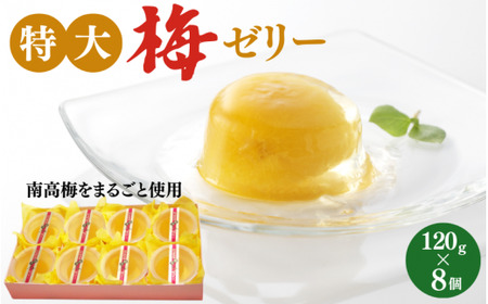 ~[[ 120g×8  / cӎs IB썂~ 썂~ ~ ~ ~  [[   XC[c  Ђ ykbe045-1z
