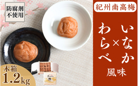 紀州産南高梅 わらべ風味といなか風味のセット 計1.2kg (600g×2種) 木箱/ 梅干し 梅干 梅 和歌山 田辺 紀州南高梅 かつお昆布だし お試し 出汁 磯塩 防腐剤不使用 ご飯のお供 スポーツ 運動 塩分補給[wrb009-1]