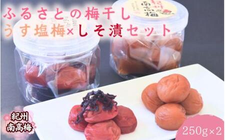[紀州南高梅]ふるさとの梅干し うす塩梅×しそ漬セット 250g×2 / 和歌山 田辺 紀州 南高梅 お試し 試食 初めて 味見 特選 国産 おにぎり お弁当 二種 500g 免疫 塩分補給 [nmn002]