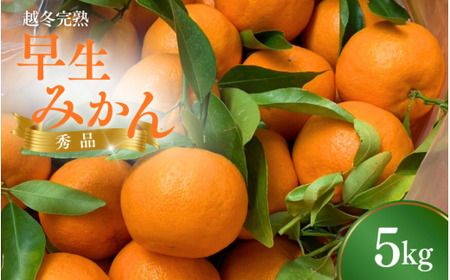 [先行予約] 越冬早生みかん5kg (2026年1月以降順次発送予定) / 早生みかん 早生 ミカン 柑橘 フルーツ 果物 紀州産 和歌山県[tcs007-1]