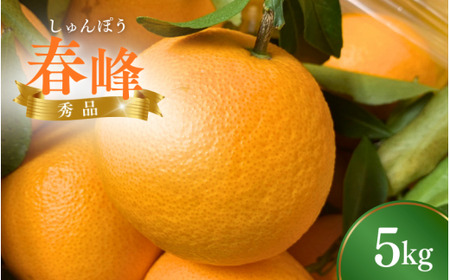 [先行予約] 春峰(しゅんぽう/はるかぜ) 5kg (2026年2〜3月頃から順次発送予定) / みかん 和歌山蜜柑 和歌山ミカン 高級みかん 人気 ランキング 果物 くだもの フルーツ 柑橘 蜜柑 産地直送 国産 [tcs010]