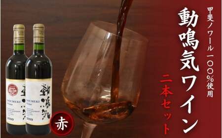 動鳴気ワイン 2本セット 720ml×2本 / 田辺市 赤ワイン 葡萄酒 お酒 アルコール 宅飲み 家飲み 甲斐ノワール フランス産 オーク樽仕込み ギフト プレゼント 贈り物 贈答 お祝い 記念日 誕生日 ディナー パーティー ご褒美 日本ワイン 国産[kkb011]