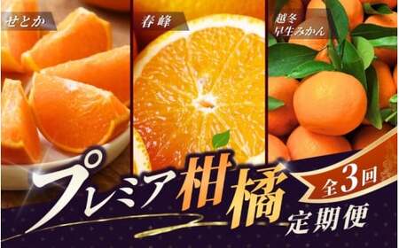 ＼新登場/ [全3回定期便]和歌山のプレミア柑橘定期便 (越冬早生みかん・せとか・春峰) ※2026年1月より3回お届け / みかん 定期便 柑橘 せとか フルーツ 早生みかん ミカン 和歌山 果物 田辺市 くだもの[tcs012-tk]