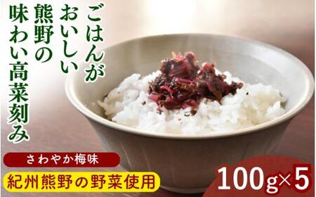 ごはんがおいしい!熊野の味わい高菜刻み [さわやか梅味] 100g×5袋セット / 梅 うめ 高菜漬け 田辺市 漬物 つけもの 健康 和歌山 醤油 野菜 ご飯のおとも[kms024]