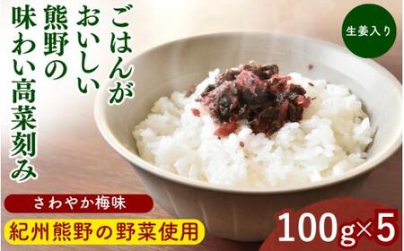 ごはんがおいしい!熊野の味わい高菜刻み [さわやか梅味&生姜入り] 100g×5袋セット / 梅 うめ 高菜漬け しょうが 田辺市 漬物 つけもの 健康 和歌山 醤油 野菜 ご飯のおとも[kms025]