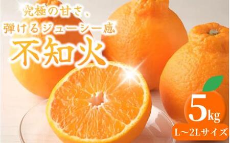 紀州田辺の 不知火 5kg(2026年3月頃から順次発送予定) / デコポン でこぽん 柑橘 和歌山 みかんランキング 果物 くだもの フルーツ 柑橘 産地直送 国産 和歌山 [tcs017-1]