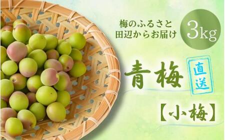 [先行予約] 青梅[小梅] 3kg(2026年5月頃から順次発送予定) / 生梅 梅干し 小粒 梅酒 梅ジャム 梅シロップ 産地直送 国産 和歌山 [tcs019]