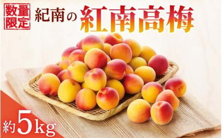 [2025年分予約]紀南の紅南高梅(2L〜3Lサイズ)約5kg※2025年6月上旬〜中旬頃順次発送予定 / 田辺市 果物 果実 くだもの かじつ 梅 青梅 生梅 梅干し うめぼし 梅酒 梅ジュース 梅シロップ 手作り 自家製 新鮮 [okw001]