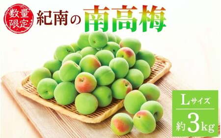 [2025年分予約]紀南の南高梅(Lサイズ)約3kg※2025年5月下旬〜6月中旬頃順次発送予定 / 田辺市 果物 果実 くだもの かじつ 梅 青梅 生梅 梅干し うめぼし 梅酒 梅ジュース 梅シロップ 手作り 自家製 新鮮 [okw002]