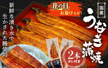 [土用の丑の日までにお届け]国産うなぎ蒲焼(2本)タレ付き / 和歌山 田辺市 国産 国産うなぎ 国産鰻 うなぎ 鰻 鰻丼 うな丼 土用の丑の日[ots016-dy]